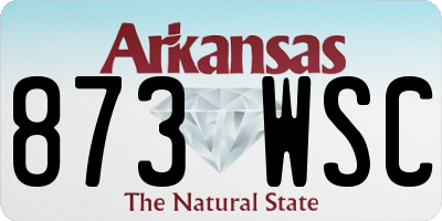 AR license plate 873WSC