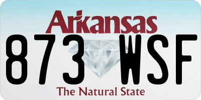 AR license plate 873WSF