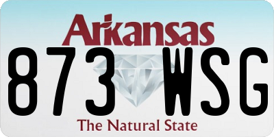 AR license plate 873WSG