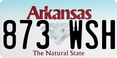 AR license plate 873WSH