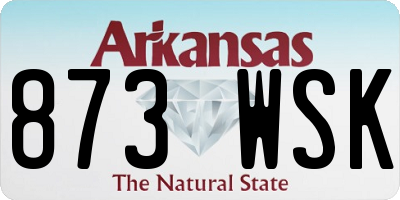 AR license plate 873WSK