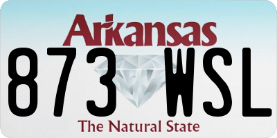 AR license plate 873WSL