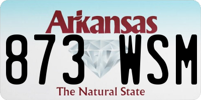 AR license plate 873WSM