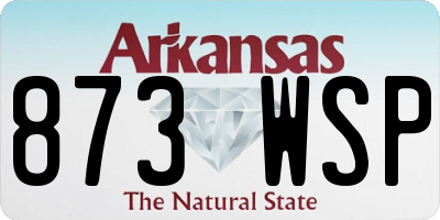 AR license plate 873WSP