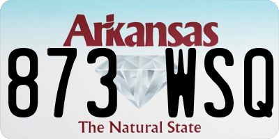 AR license plate 873WSQ
