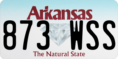AR license plate 873WSS