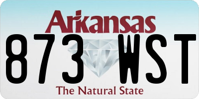AR license plate 873WST