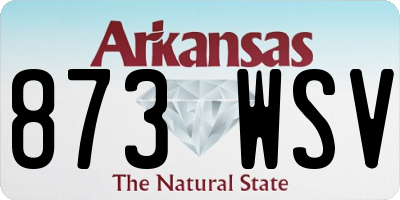 AR license plate 873WSV