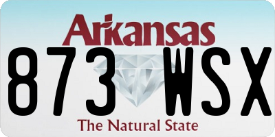 AR license plate 873WSX