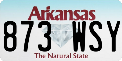 AR license plate 873WSY