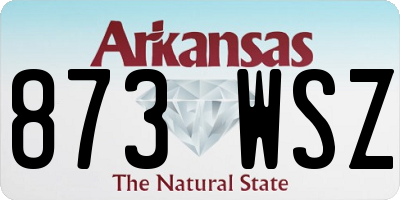 AR license plate 873WSZ