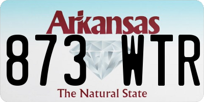 AR license plate 873WTR