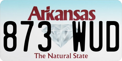 AR license plate 873WUD