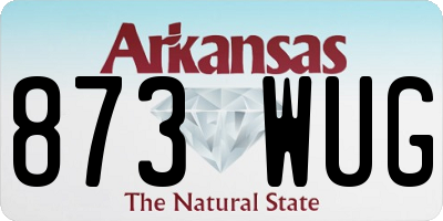 AR license plate 873WUG