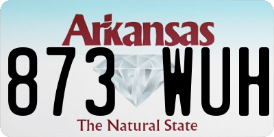 AR license plate 873WUH