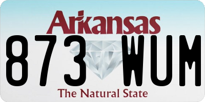 AR license plate 873WUM