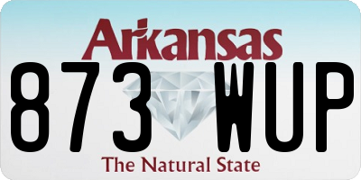 AR license plate 873WUP