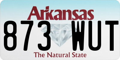 AR license plate 873WUT