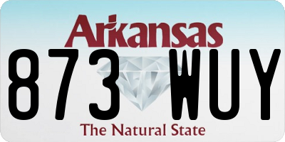 AR license plate 873WUY