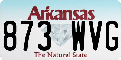 AR license plate 873WVG