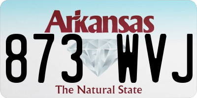 AR license plate 873WVJ