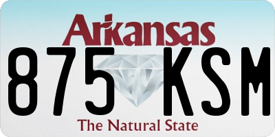 AR license plate 875KSM