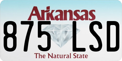 AR license plate 875LSD