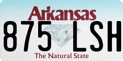 AR license plate 875LSH