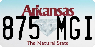 AR license plate 875MGI
