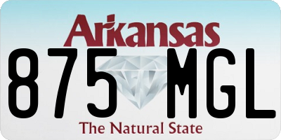 AR license plate 875MGL