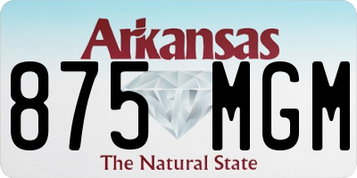 AR license plate 875MGM