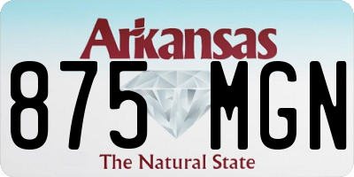 AR license plate 875MGN