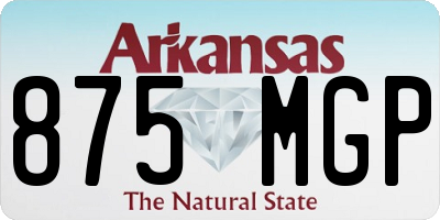 AR license plate 875MGP