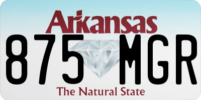 AR license plate 875MGR