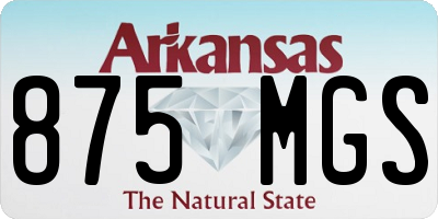 AR license plate 875MGS