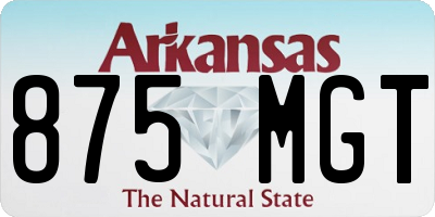 AR license plate 875MGT