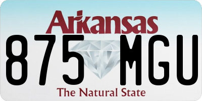 AR license plate 875MGU