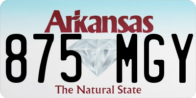 AR license plate 875MGY