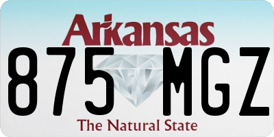 AR license plate 875MGZ