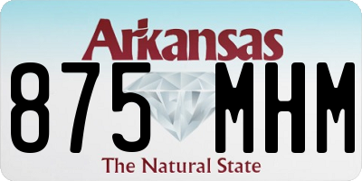 AR license plate 875MHM