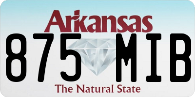 AR license plate 875MIB