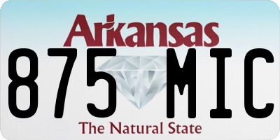 AR license plate 875MIC