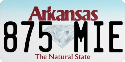 AR license plate 875MIE