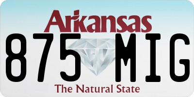 AR license plate 875MIG