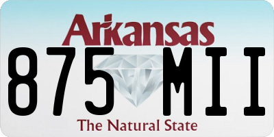 AR license plate 875MII