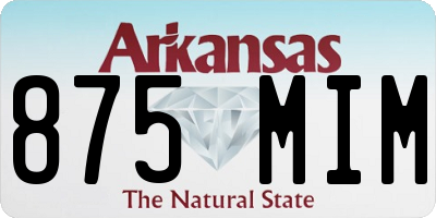 AR license plate 875MIM