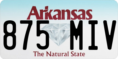 AR license plate 875MIV