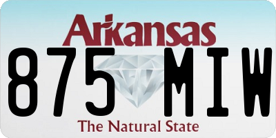 AR license plate 875MIW