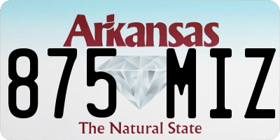 AR license plate 875MIZ