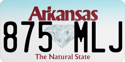 AR license plate 875MLJ